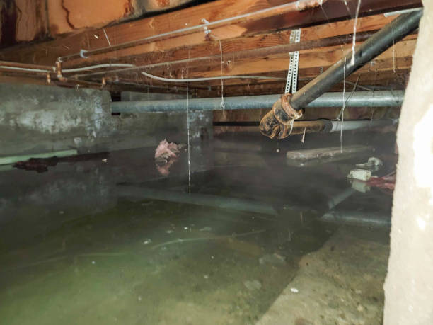 Reliable KS Water damage restoration Solutions