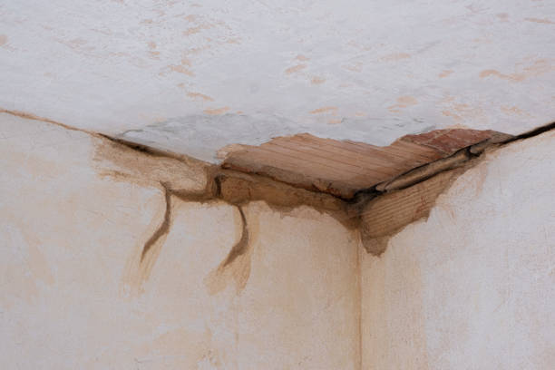 Best Carpet water damage restoration  in Mission, KS