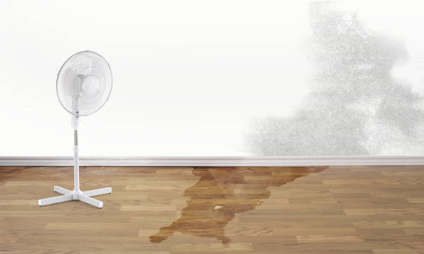 Best Water damage restoration near me  in Mission, KS