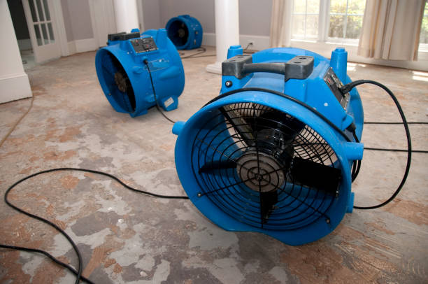 Best Professional water damage repair  in Mission, KS